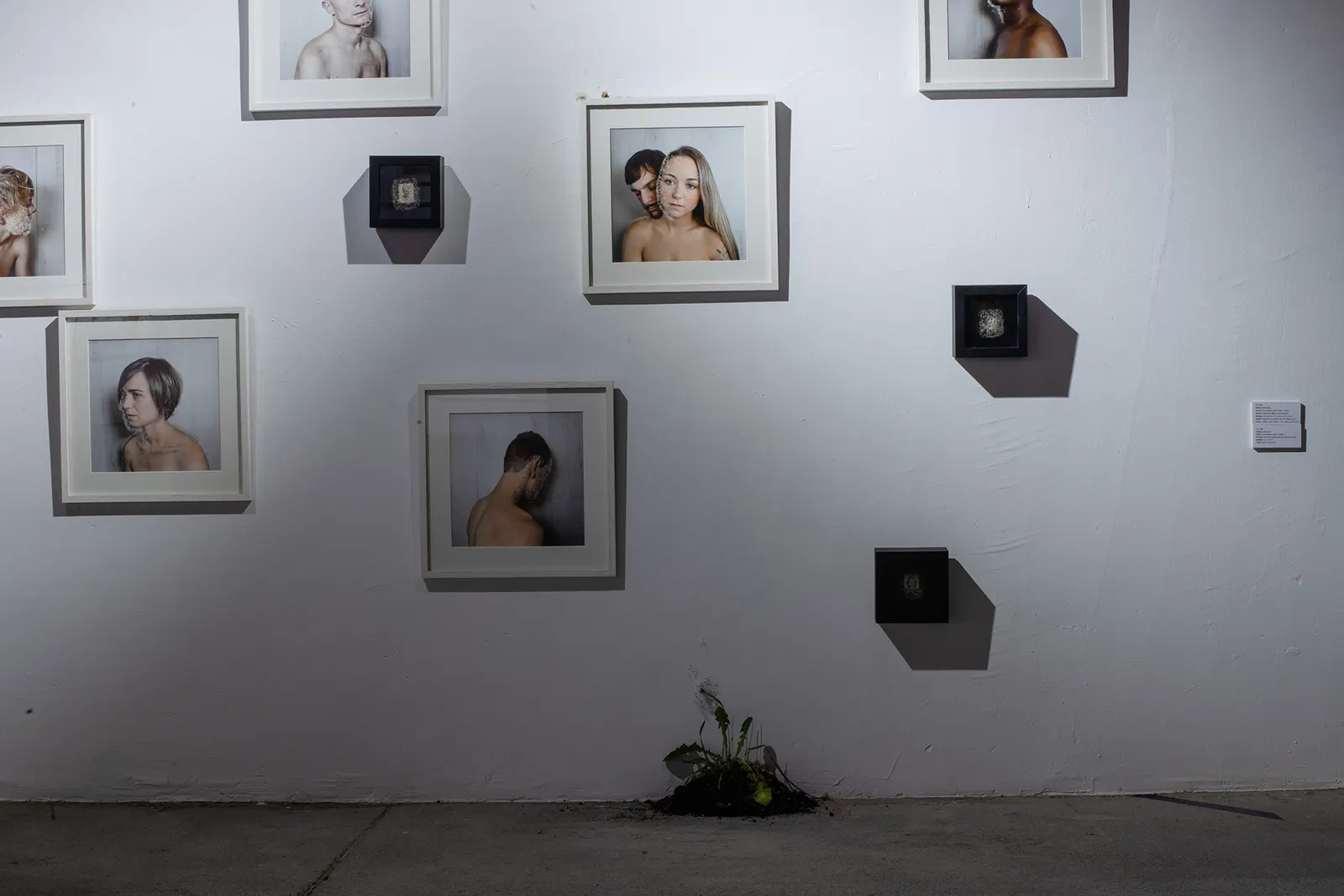 PERPETUA — EST_ART Space · Madrid (3/6)