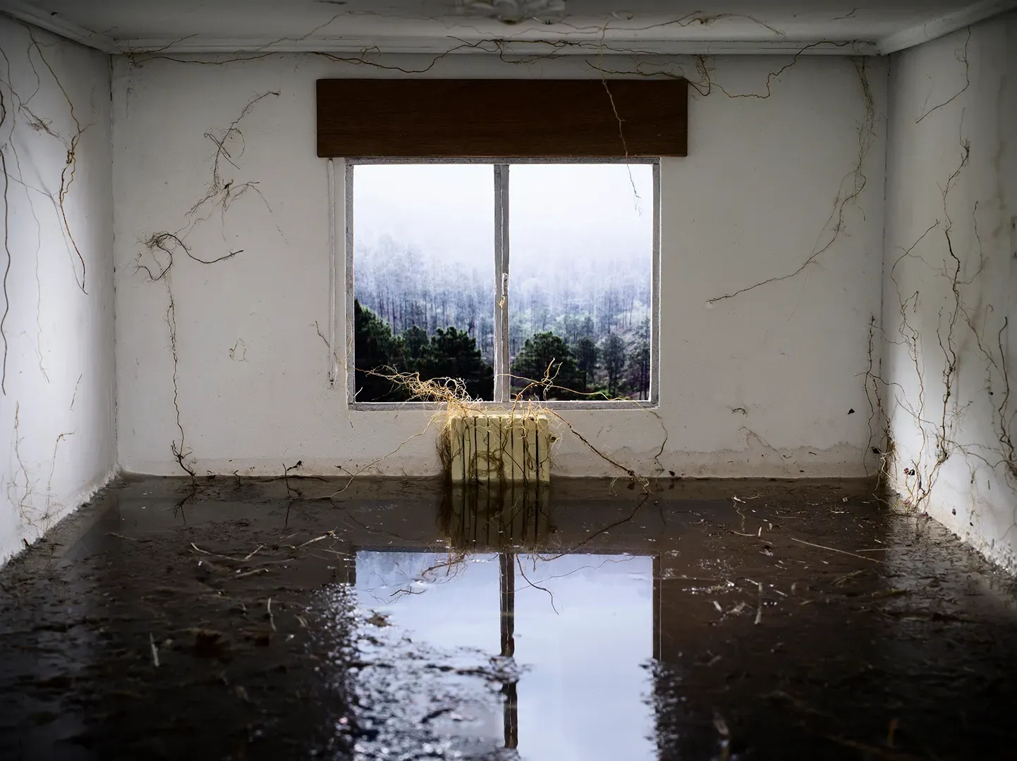A Venta — David Catá