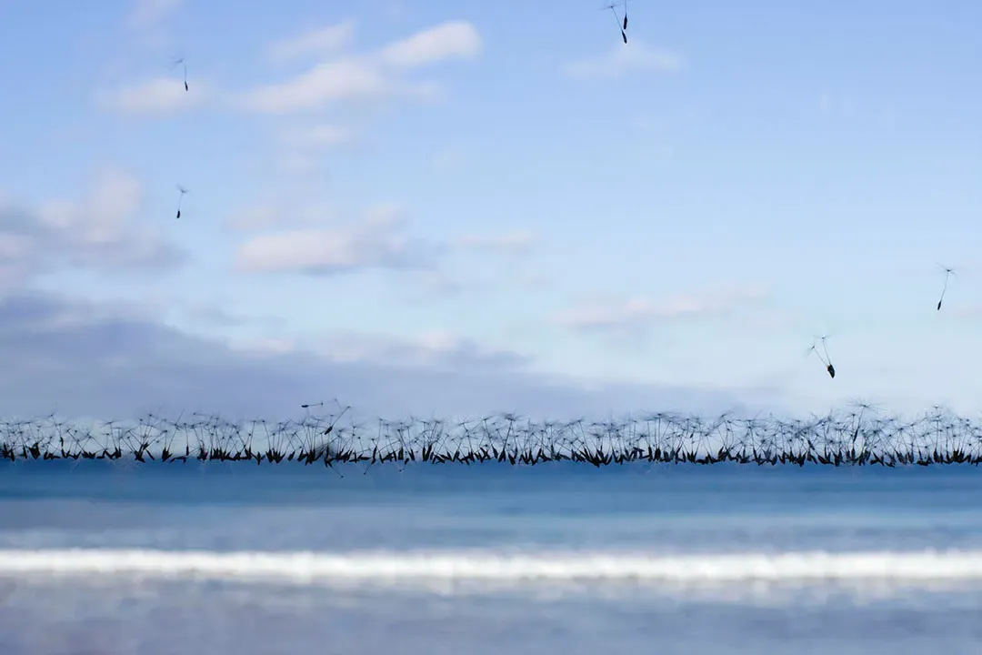 Abismos, 02 — David Catá