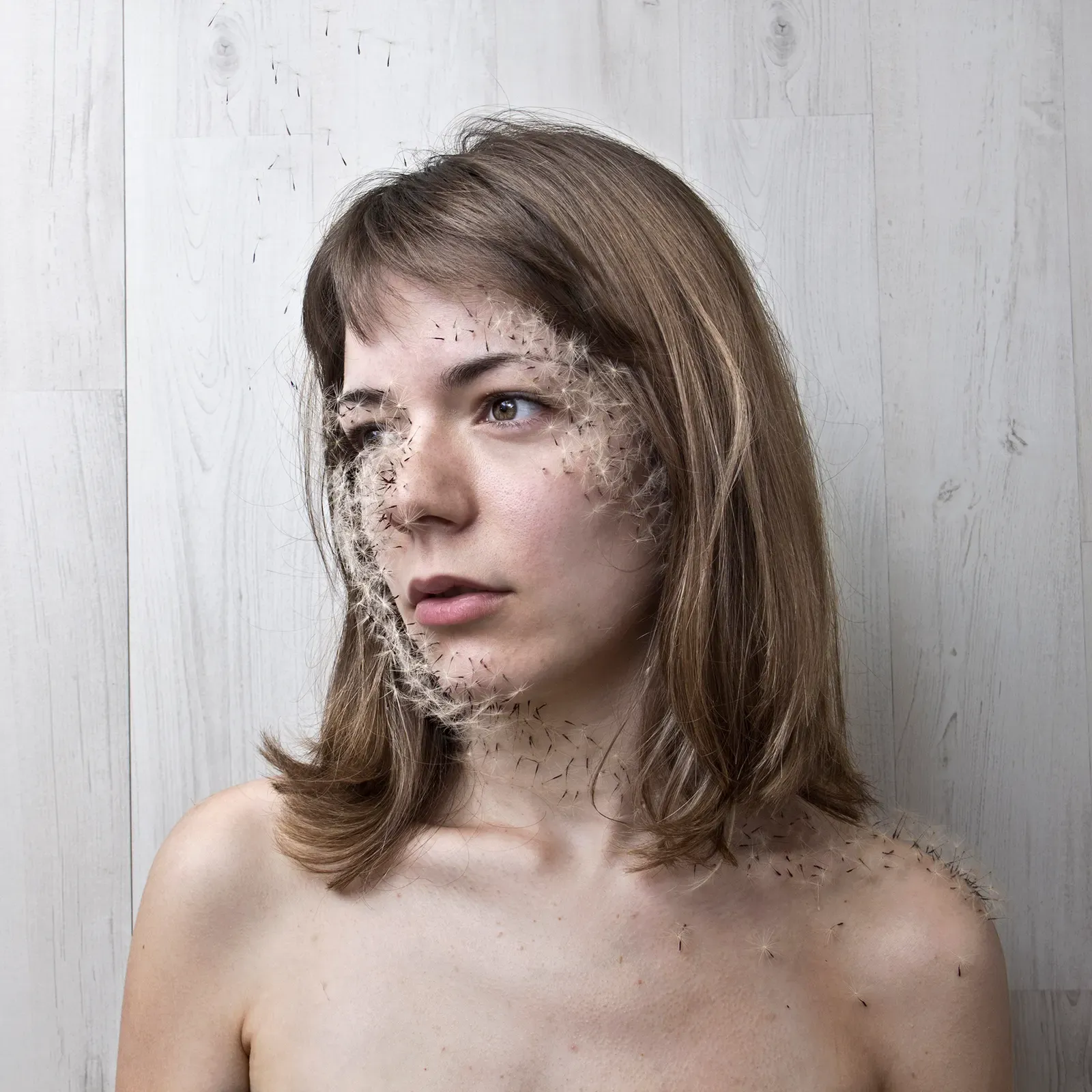 Déjame volar II, 03 — David Catá