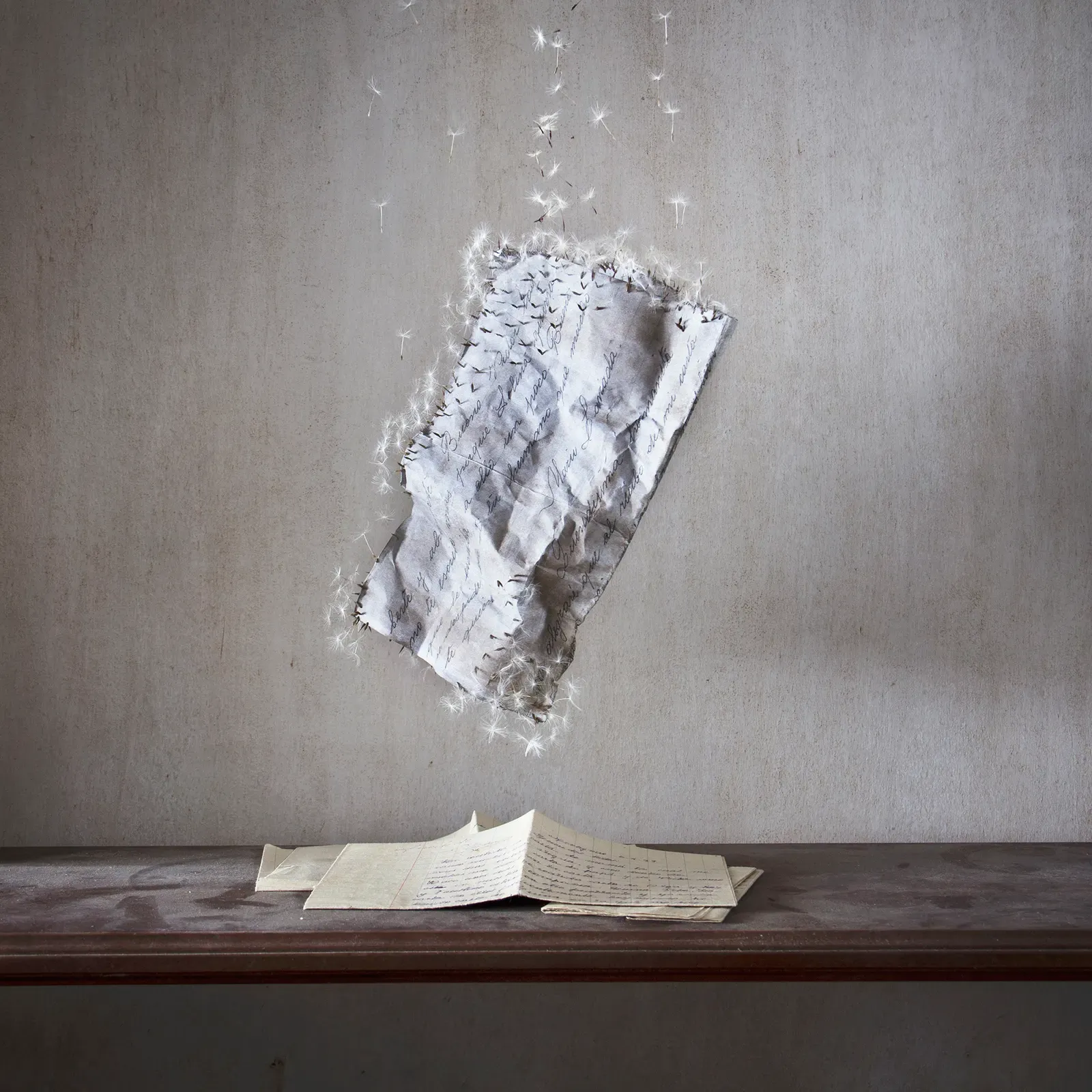 Déjame volar, 06 — David Catá