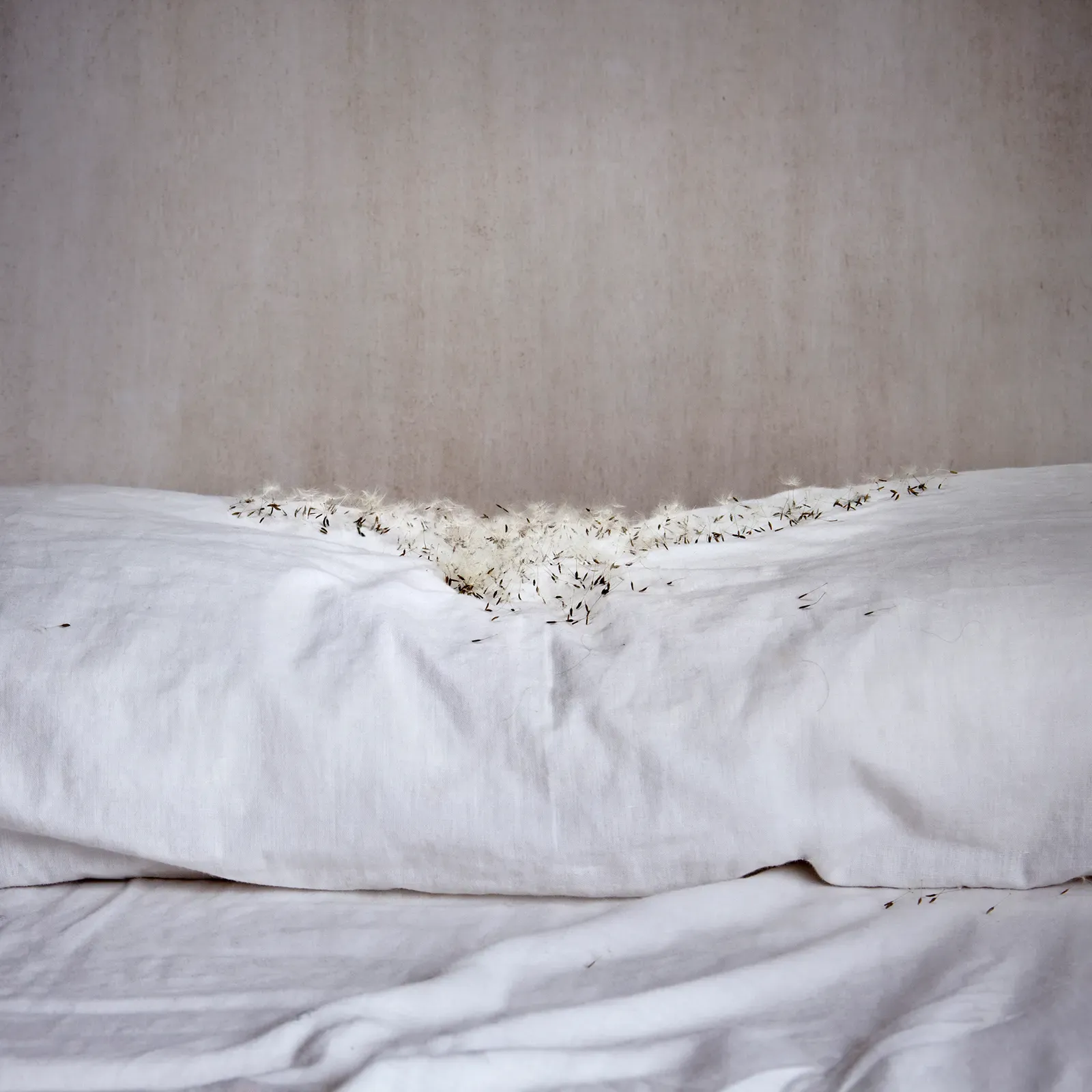 Déjame volar, 07 — David Catá