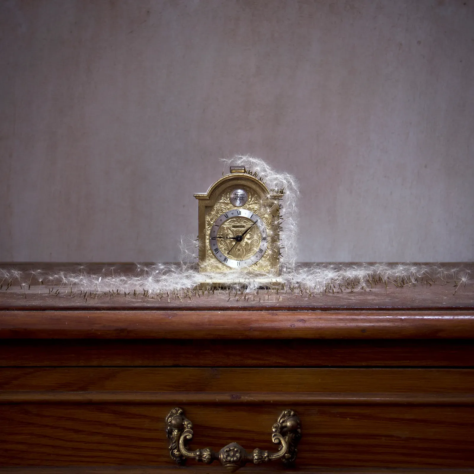 Déjame volar, 08 — David Catá