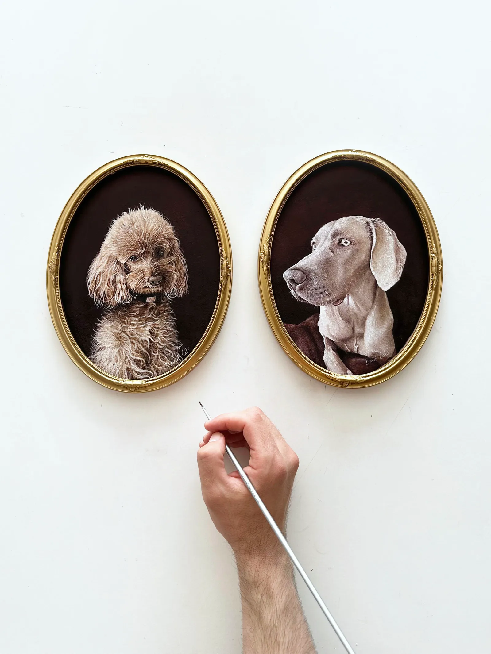 Retrato por encargo — óleo sobre lienzo — David Catá