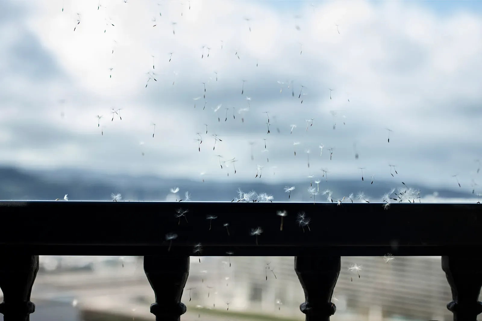 La vida tras la ventana — David Catá