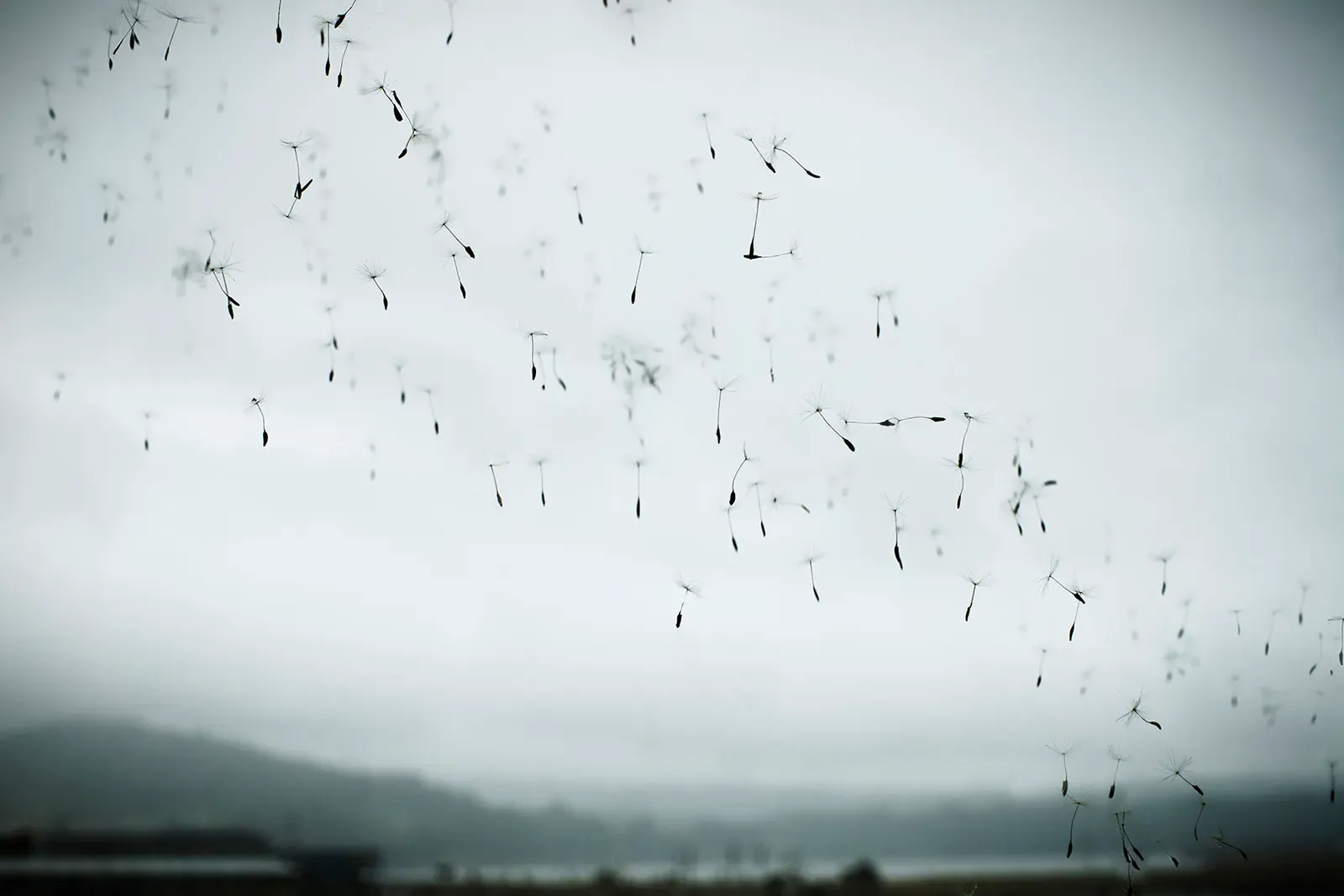 La vida tras la ventana, 02 — David Catá