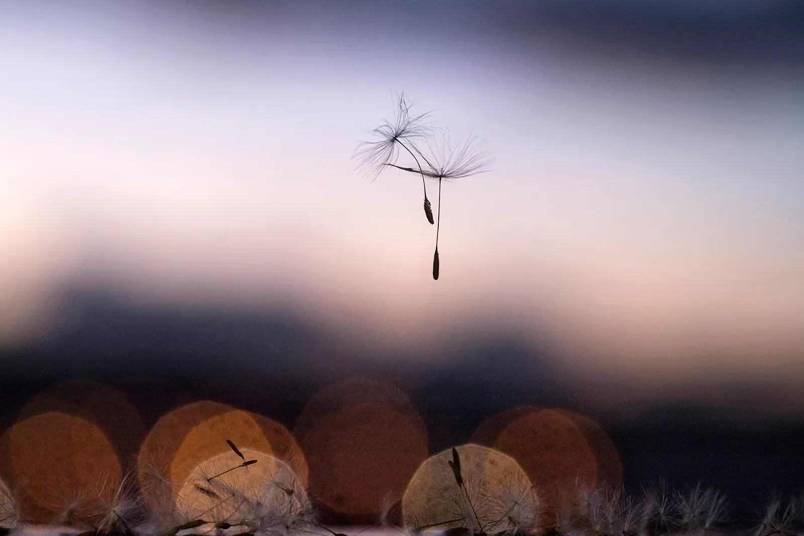 La vida tras la ventana, 05 — David Catá