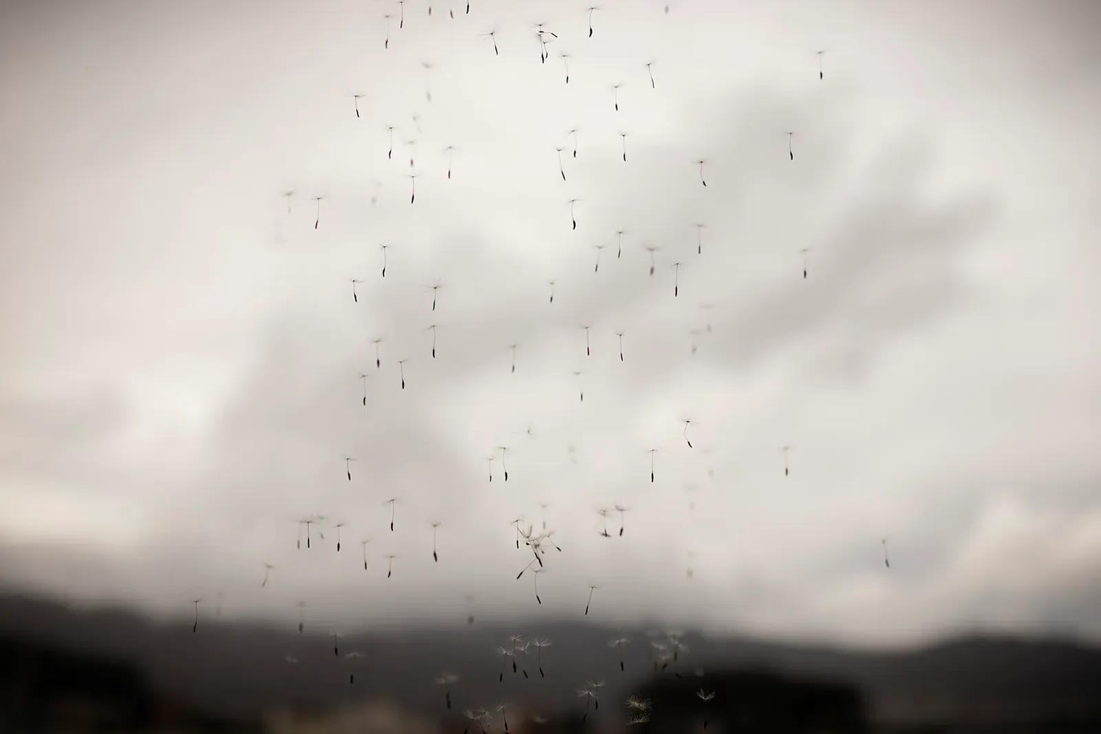 La vida tras la ventana, 06 — David Catá