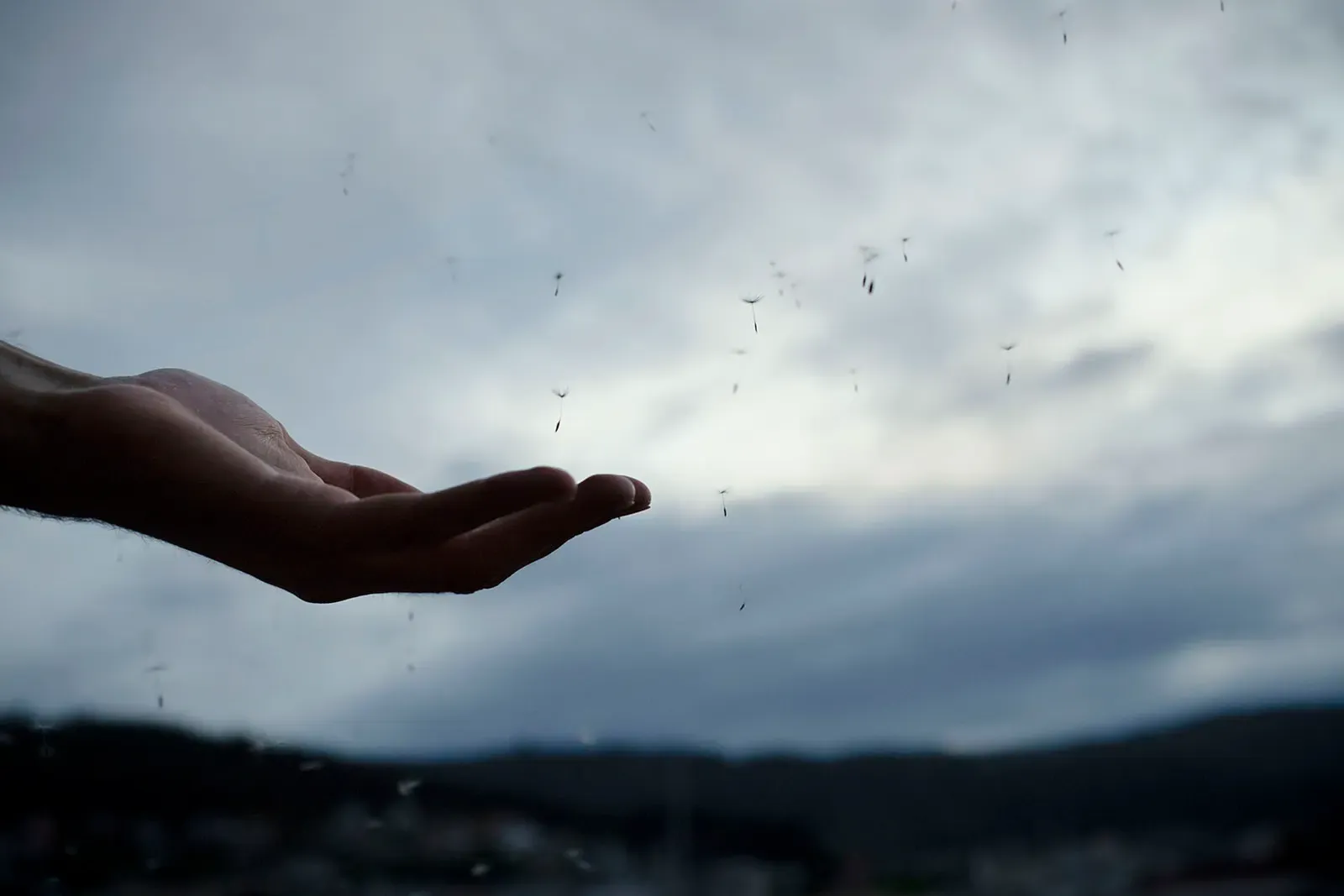 La vida tras la ventana, 10 — David Catá