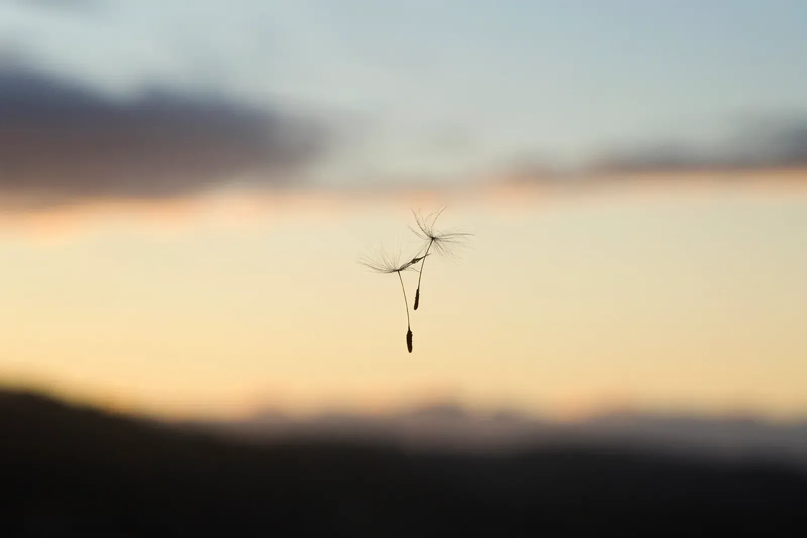 La vida tras la ventana, 11 — David Catá