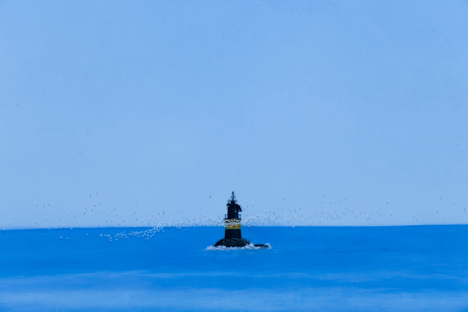 La piel del mar, obra 6 — David Catá