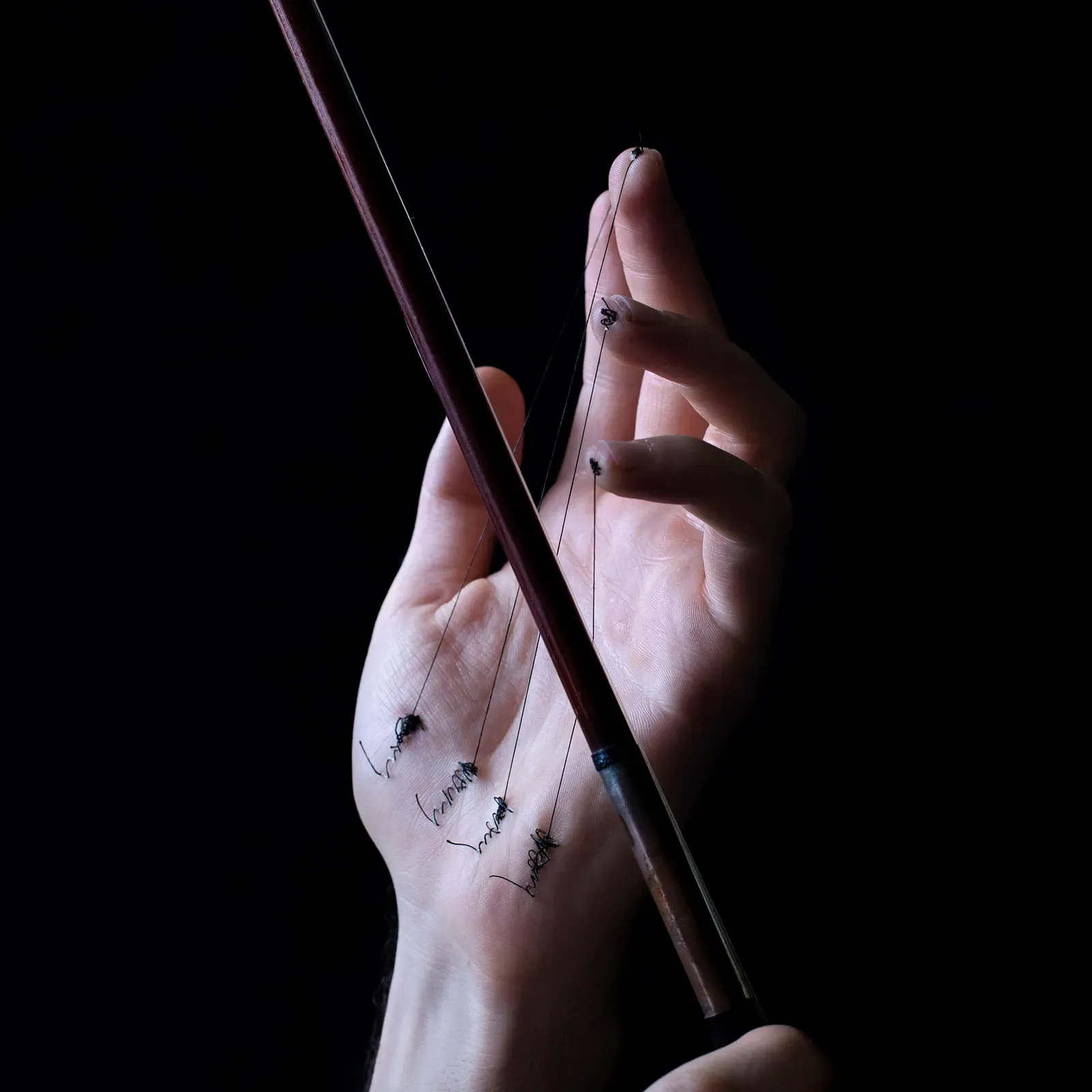 Bajo mi piel, obra 8 — David Catá