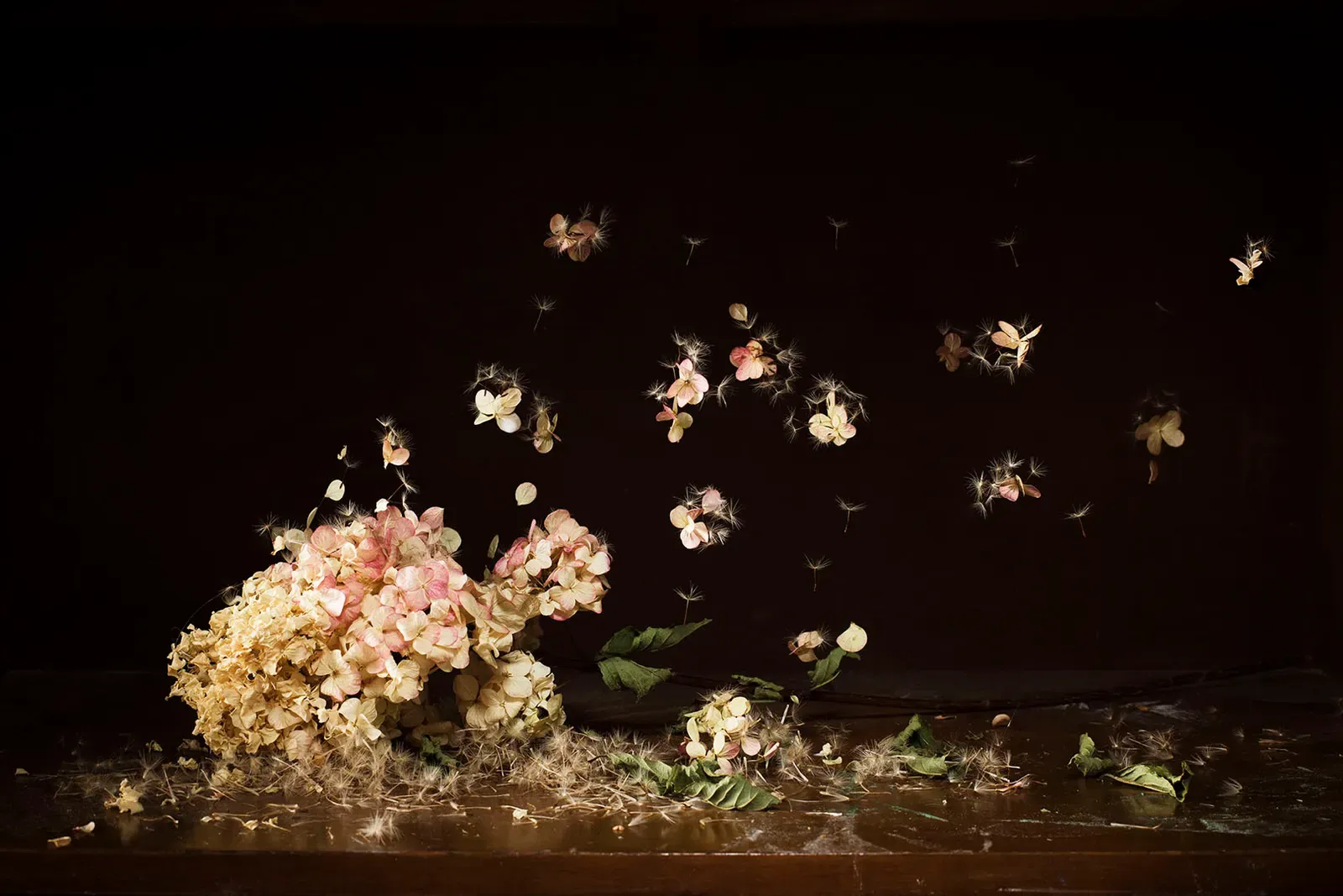 Reminiscencias — David Catá