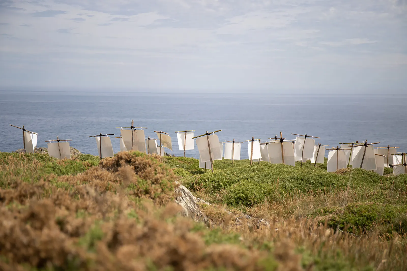 An intervention around the lighthouse — Valdoviño — Community project · May 2023 (3/3)