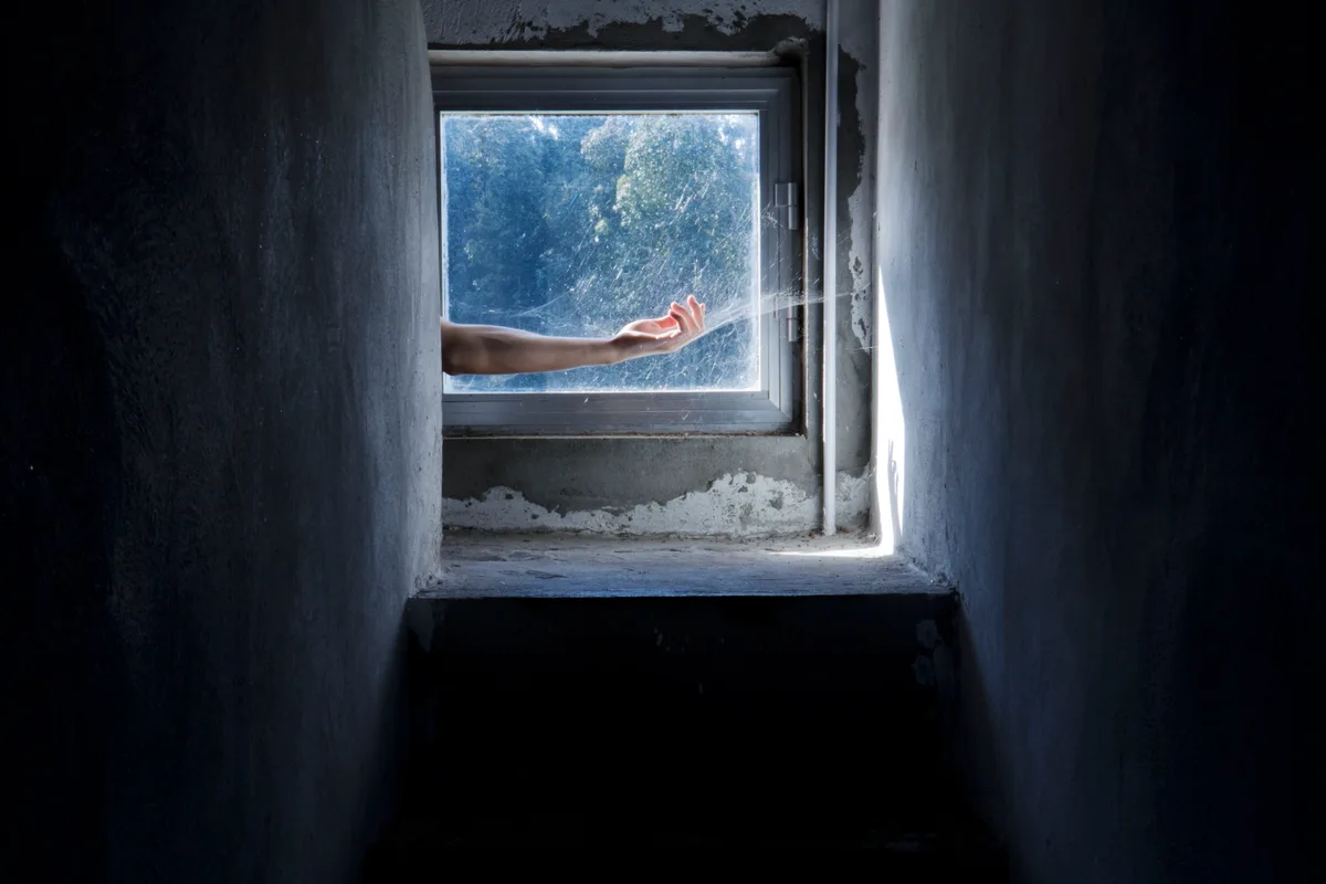 Garras del olvido — David Catá