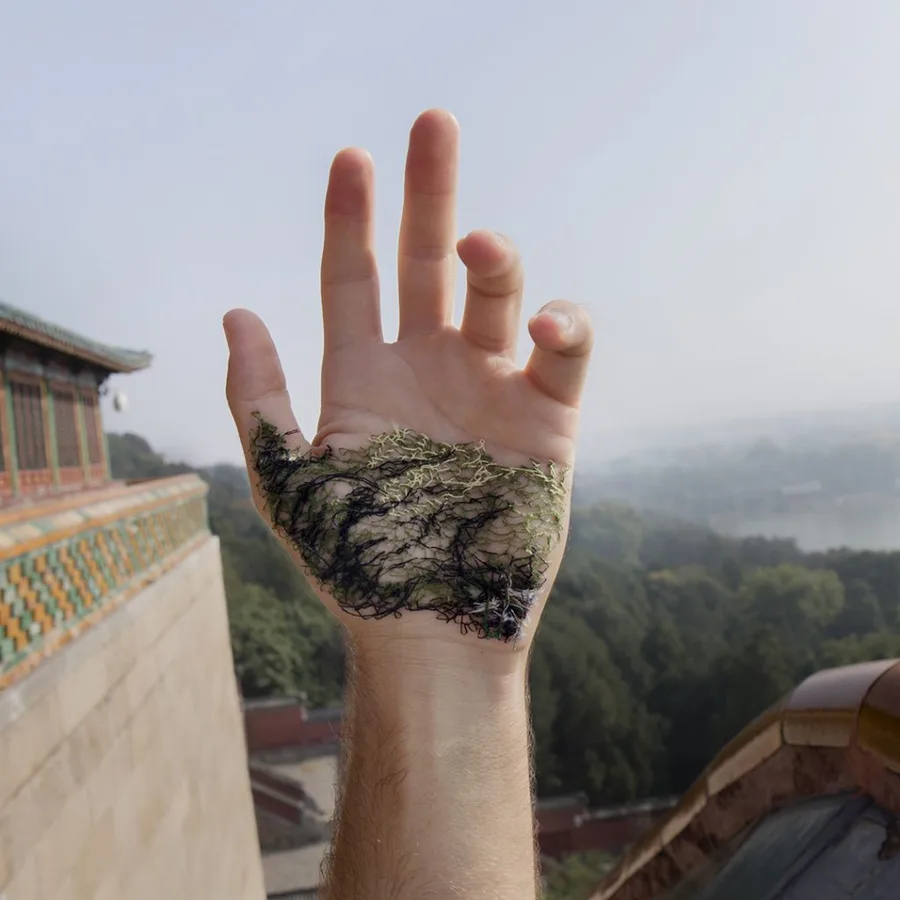 Horizonte. Pekín, China — David Catá