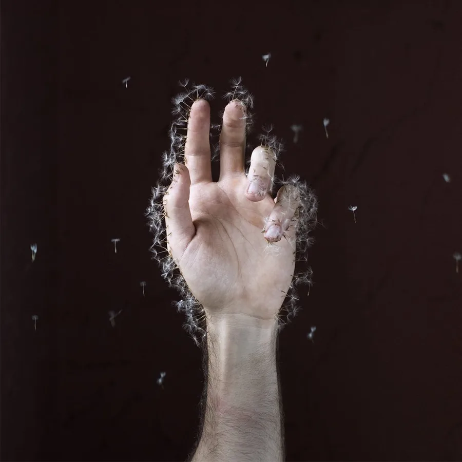Origen, 03 — David Catá