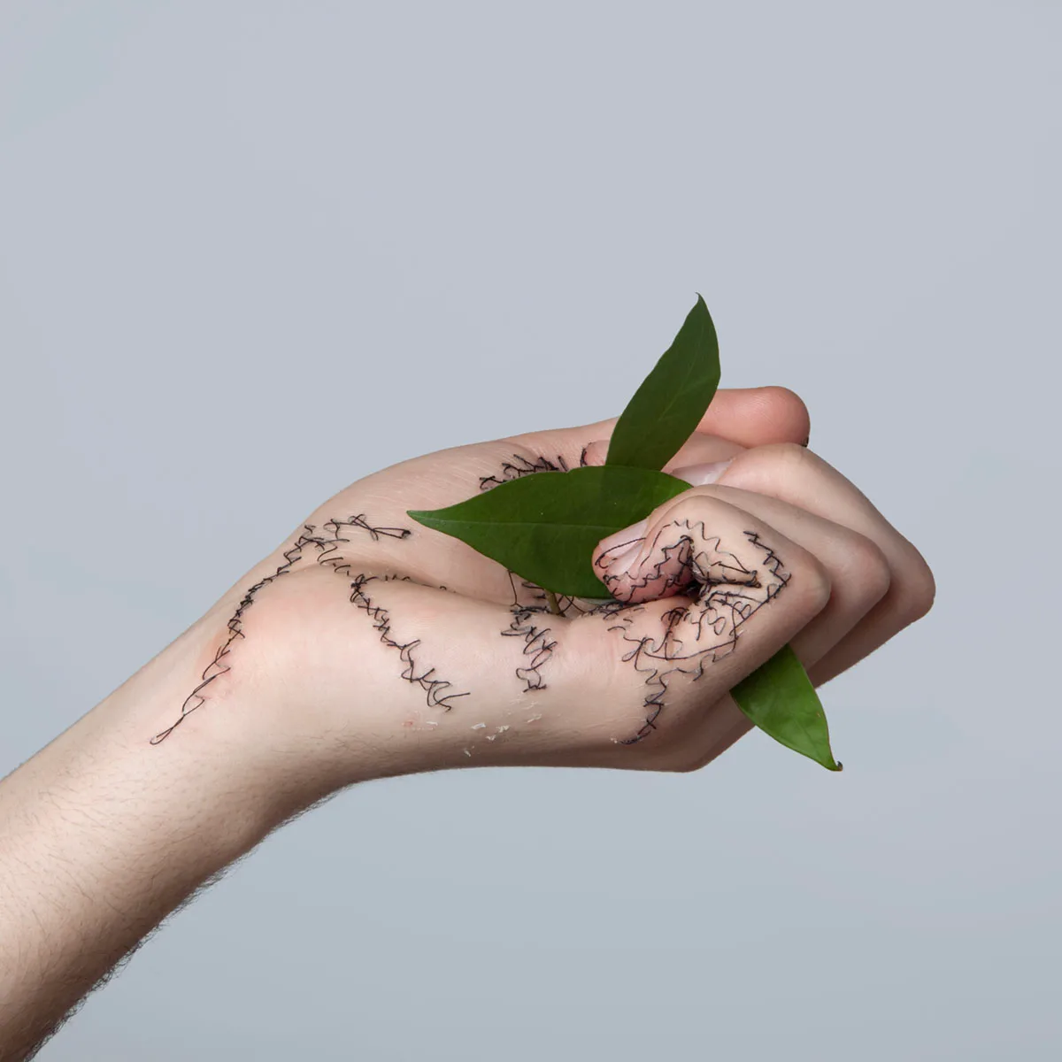 Raíces hiladas, 01 — David Catá