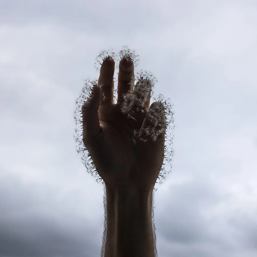 Sueños — David Catá