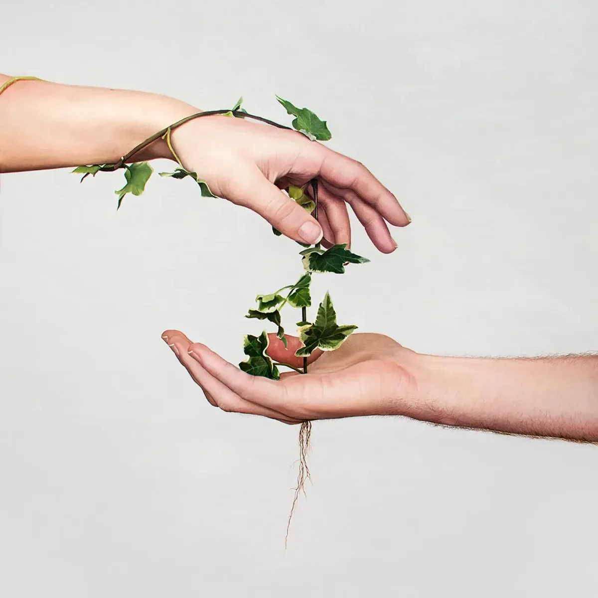 Enredados — David Catá