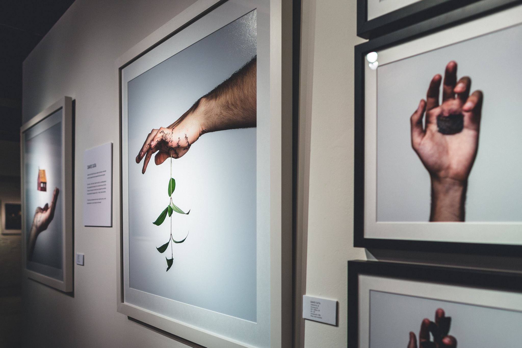 508959897_10035793743198356_7910850639082810077_n