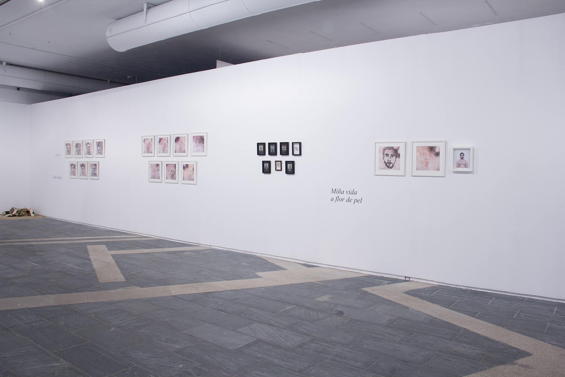 IMG_0109 como objeto inteligente-1