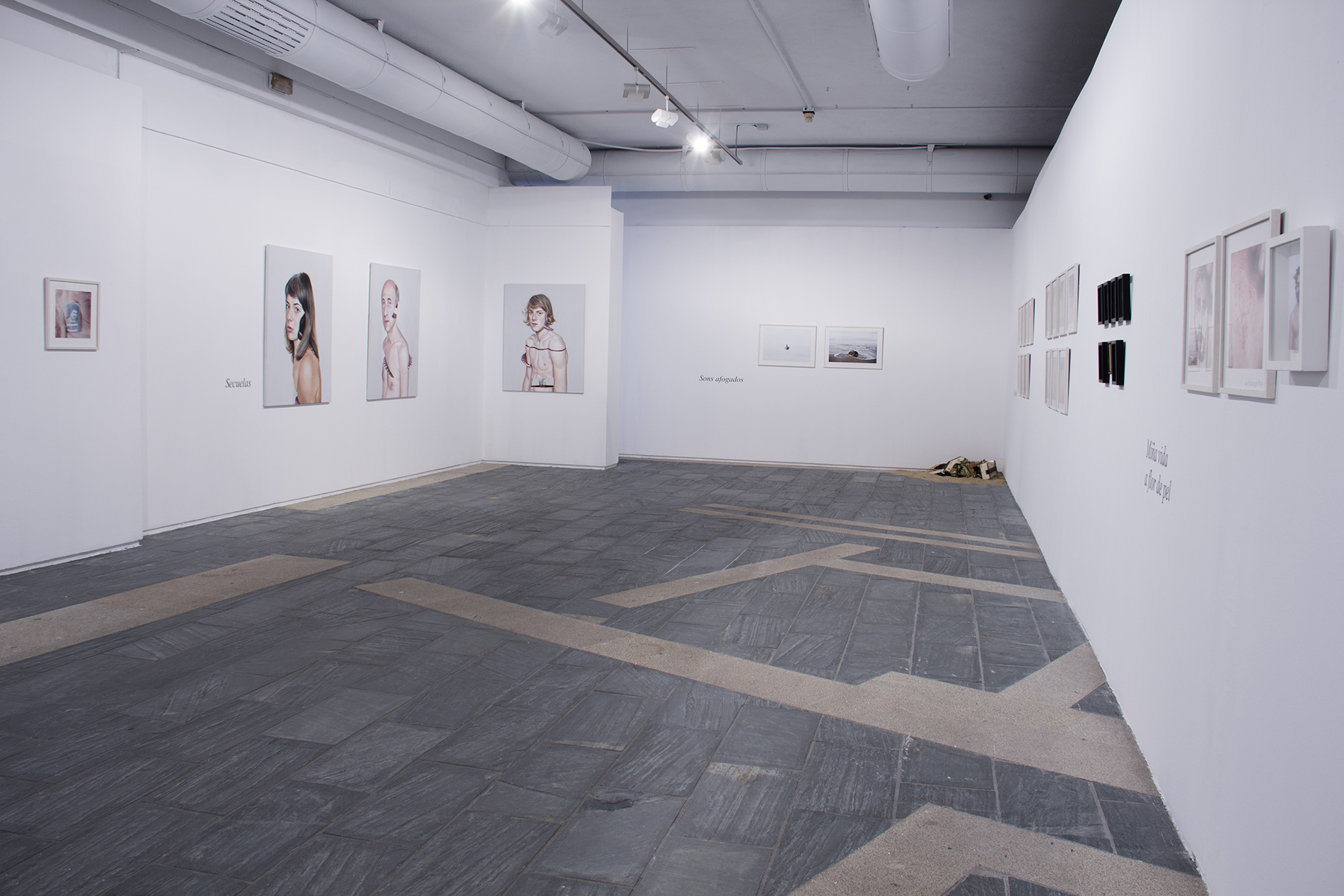 IMG_0113 como objeto inteligente-1