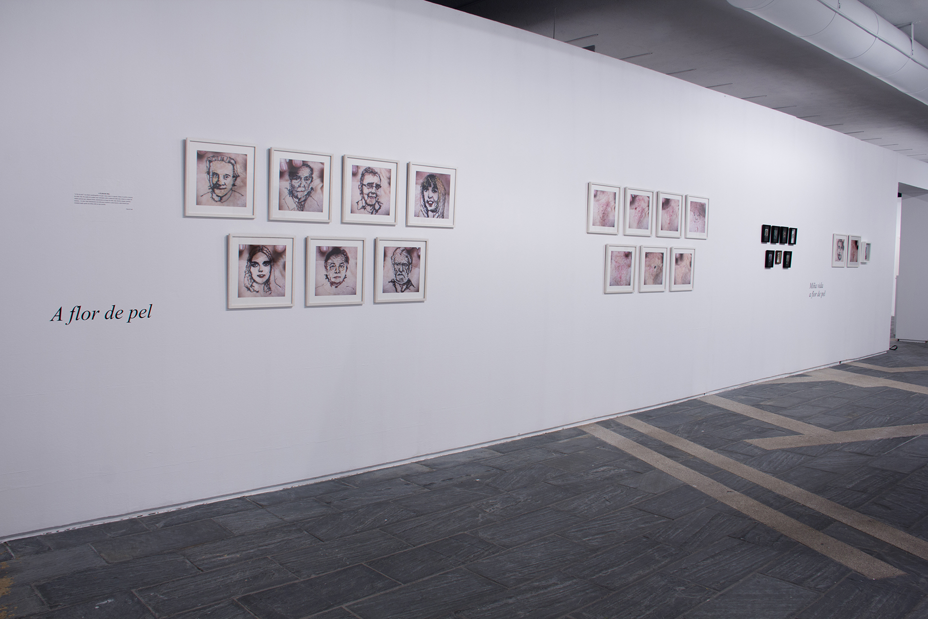 IMG_0116 como objeto inteligente-1