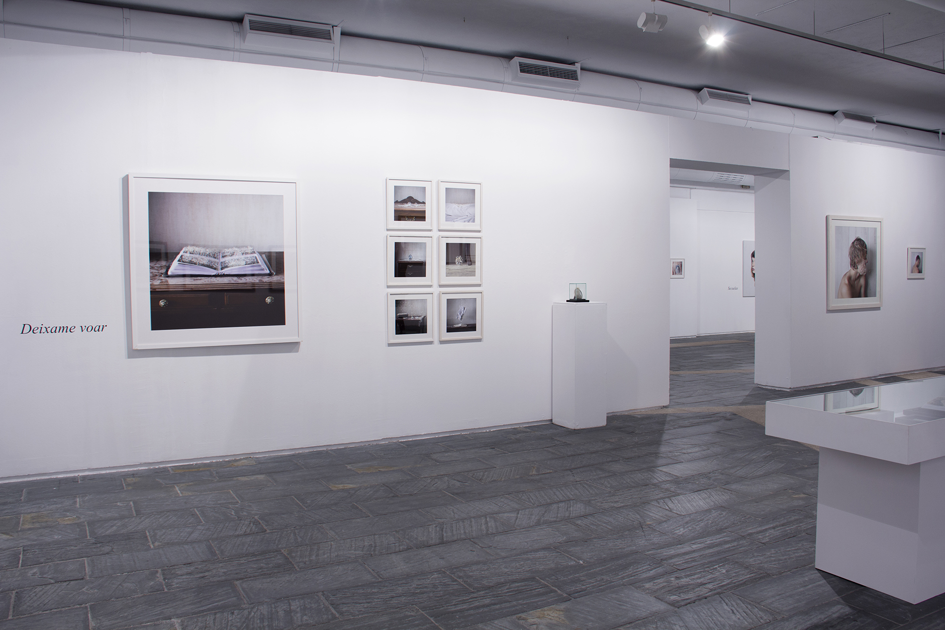 IMG_0124 como objeto inteligente-1