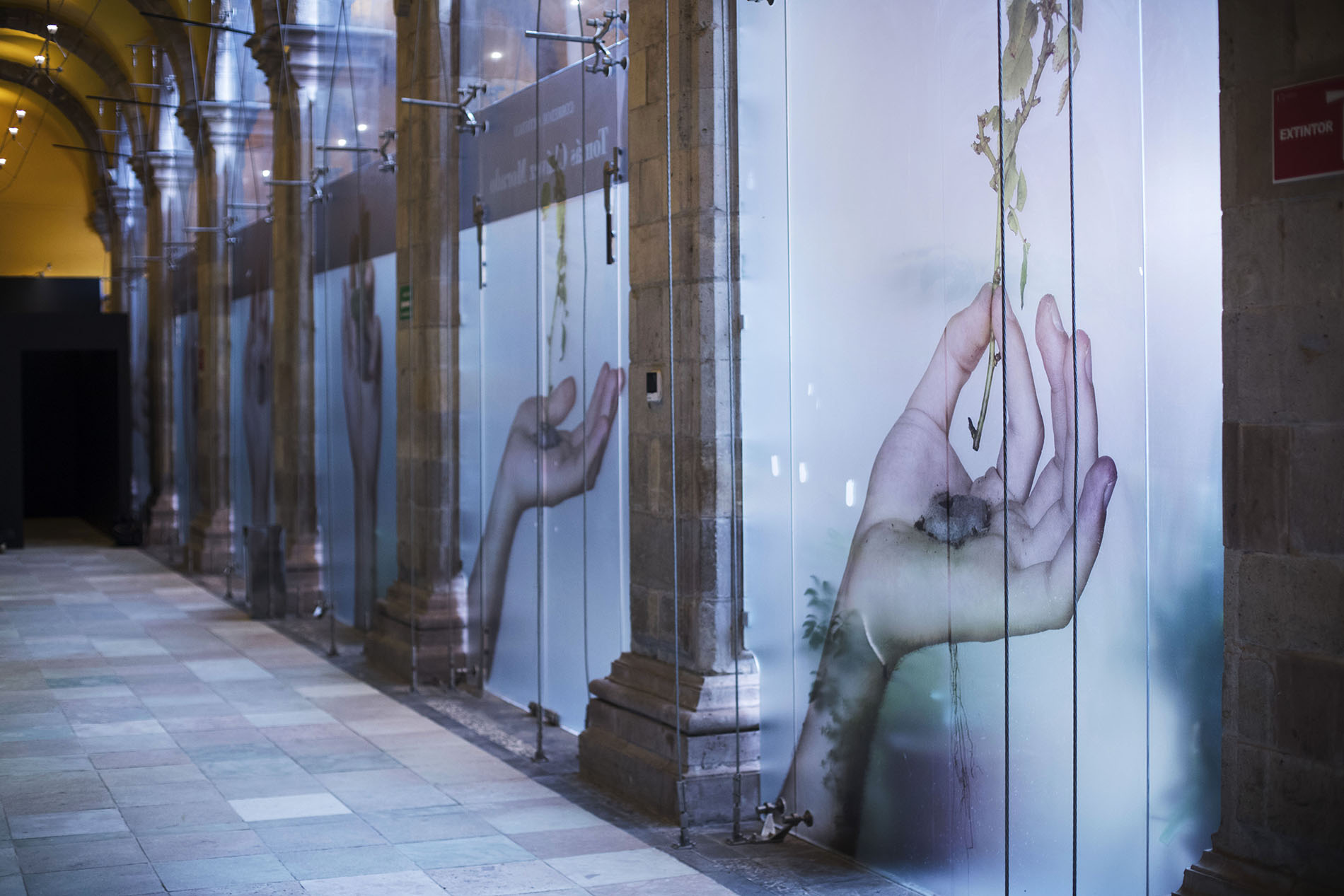 LAS FRONTERAS DEL YO. Guanajuato 2021_11