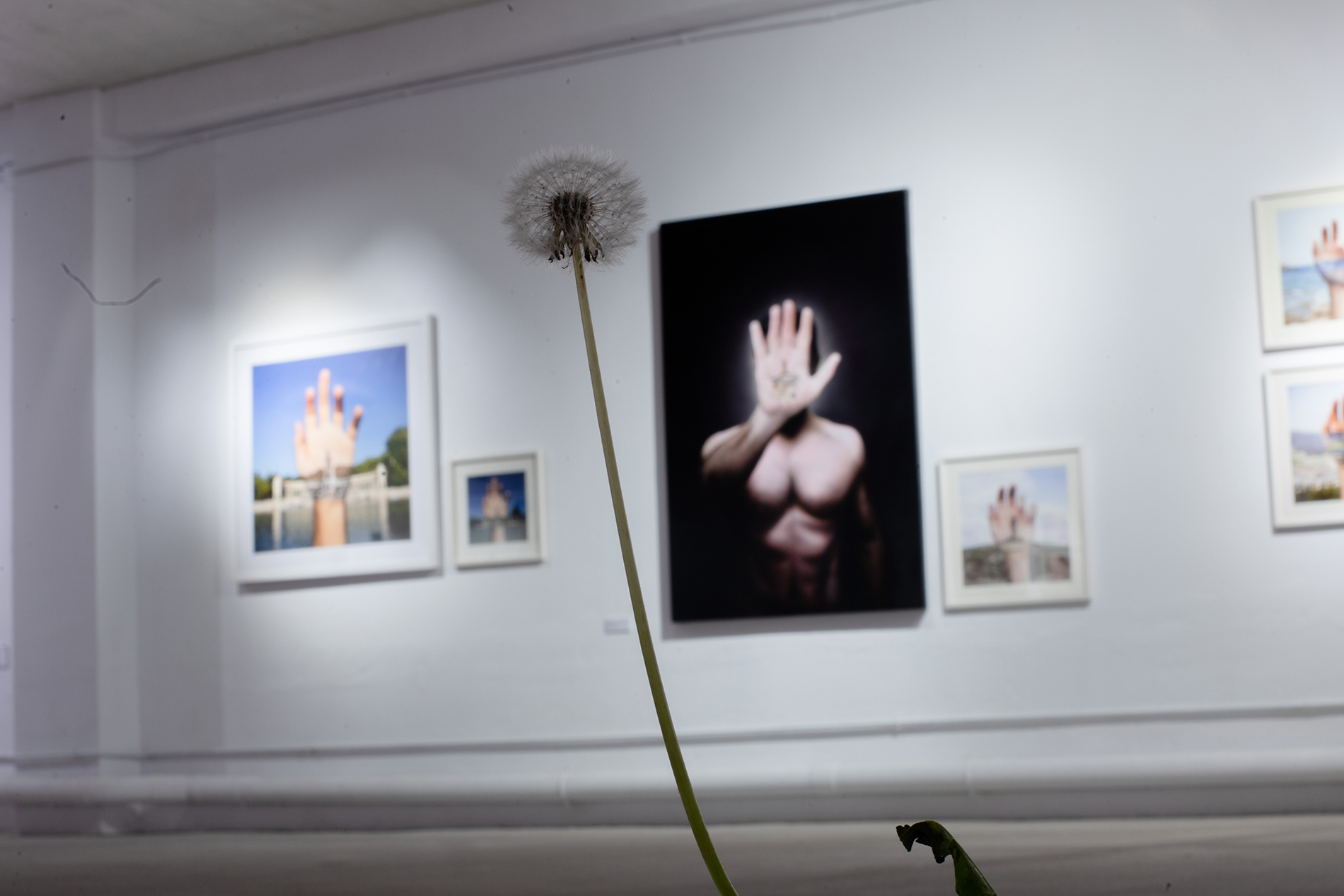 exposicion perpetua_David Cata_1