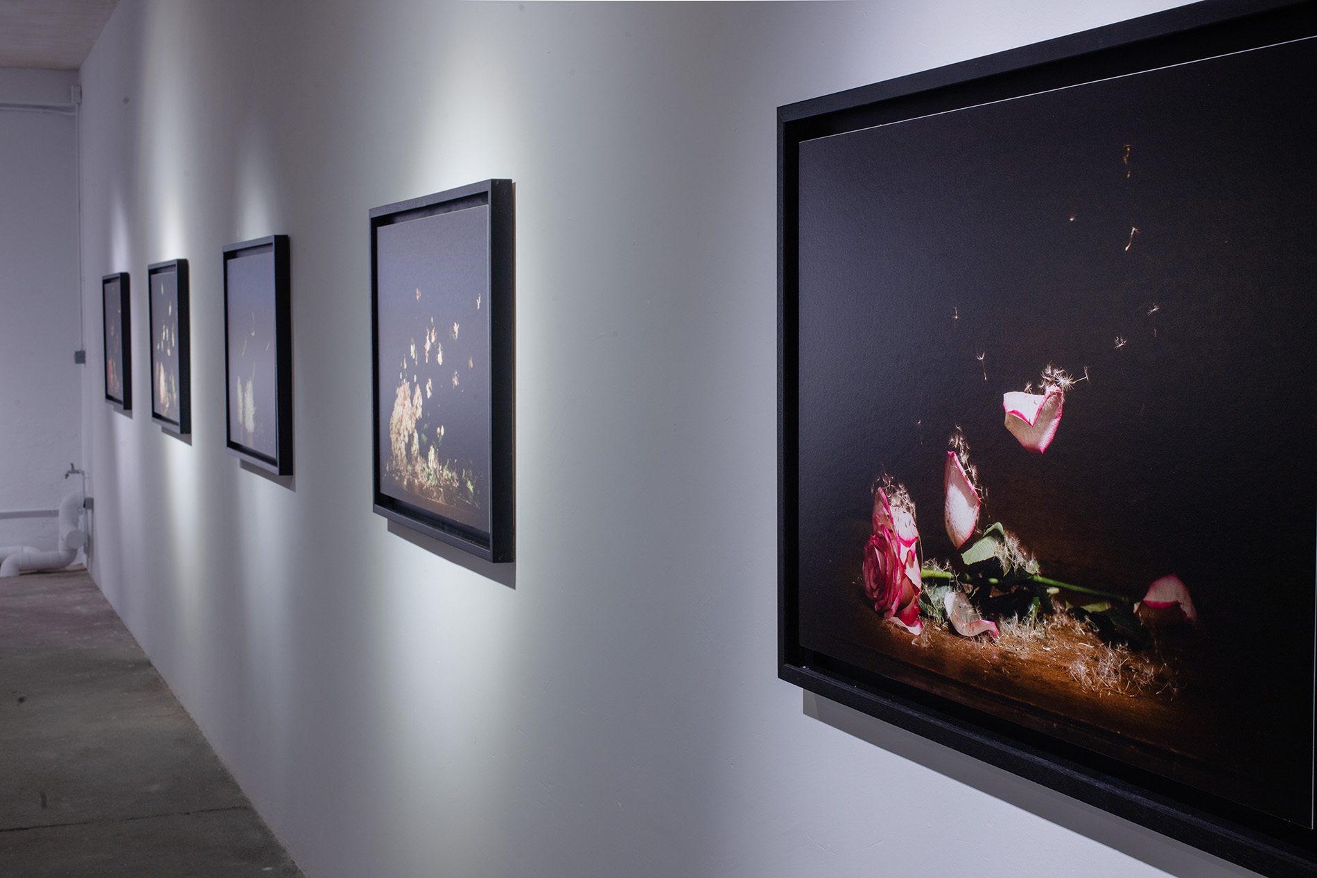 exposicion perpetua_David Cata_12