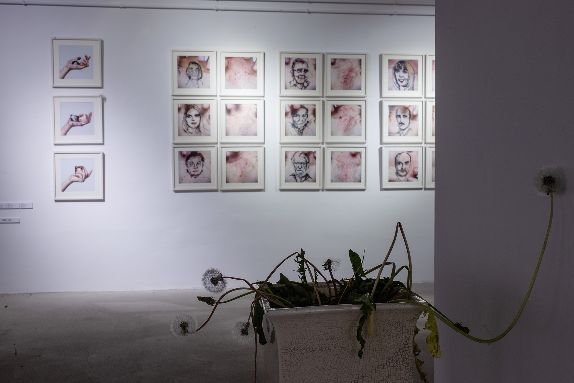 exposicion perpetua_David Cata_16