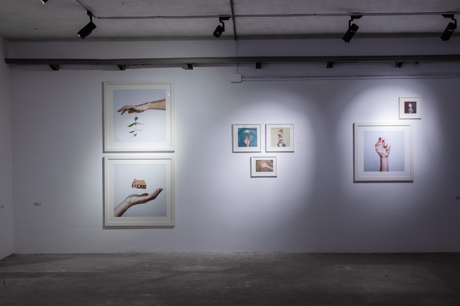 exposicion perpetua_David Cata_6