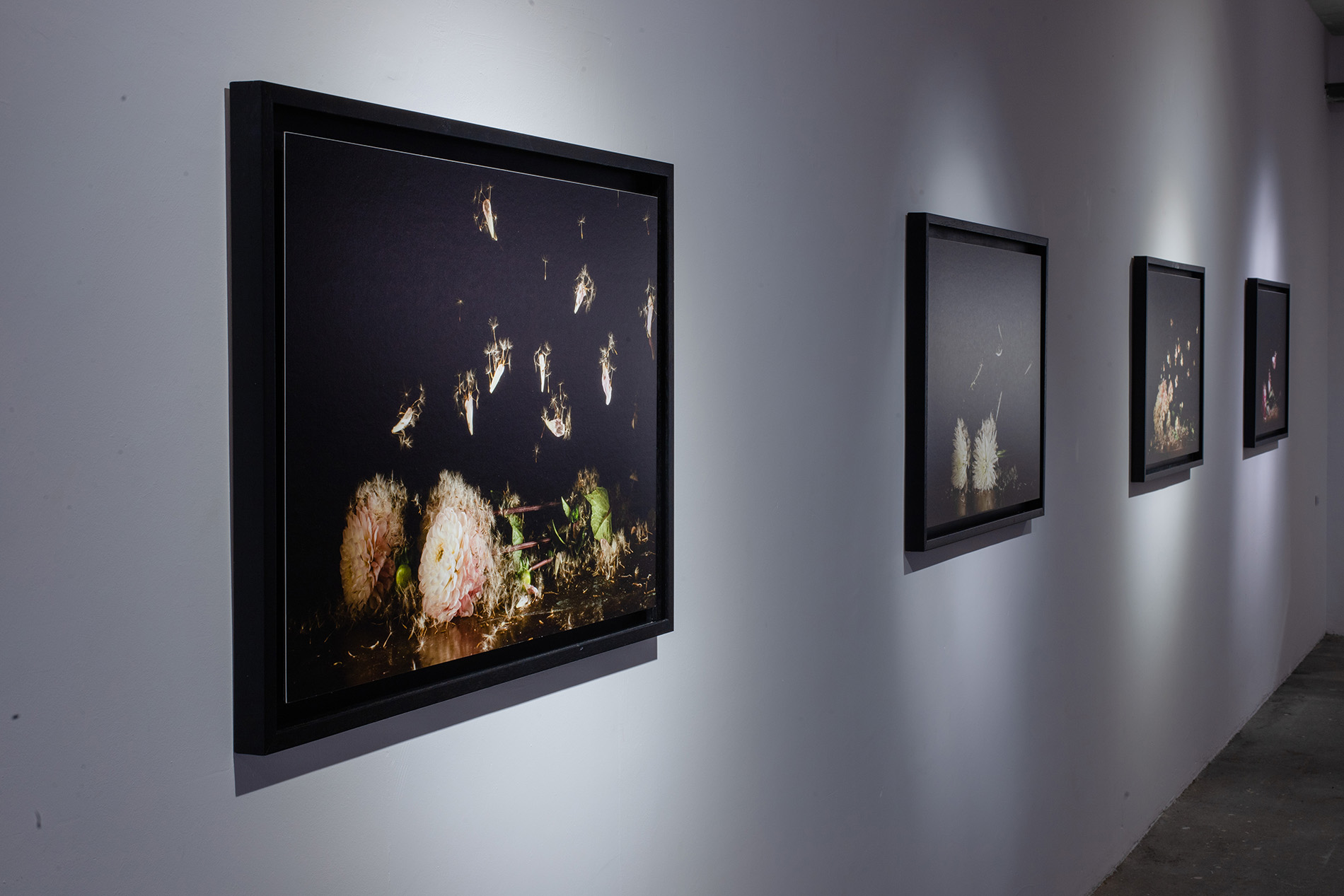 exposicion perpetua_David Cata_7