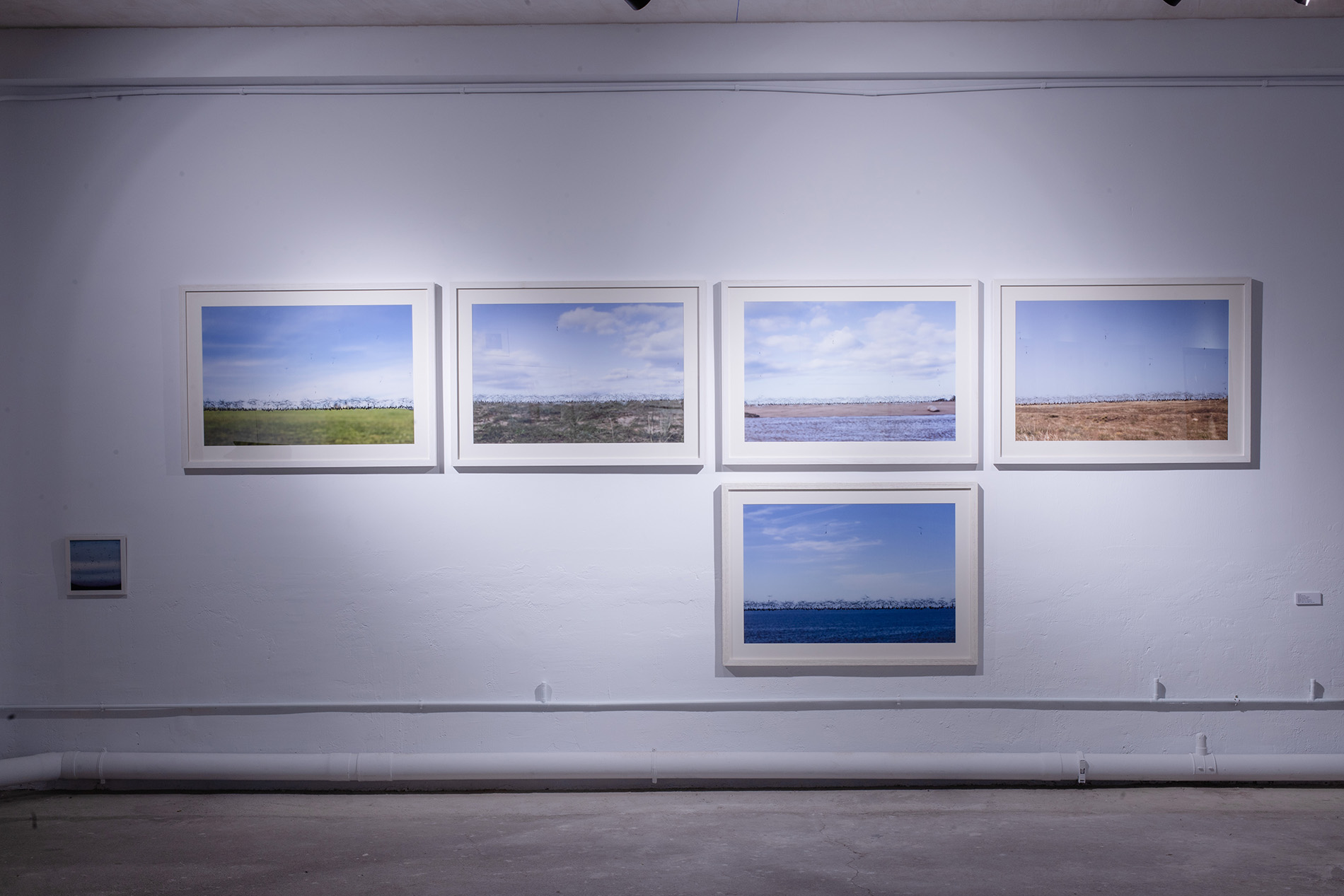 exposicion perpetua_David Cata_9