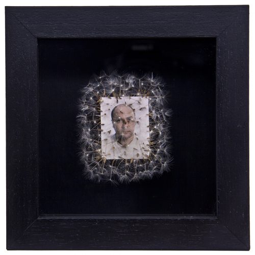 Déjame volar, 04. 
Vitrina de 15 x 15 cm. Semillas de dientes de león y fotografía. 
2013