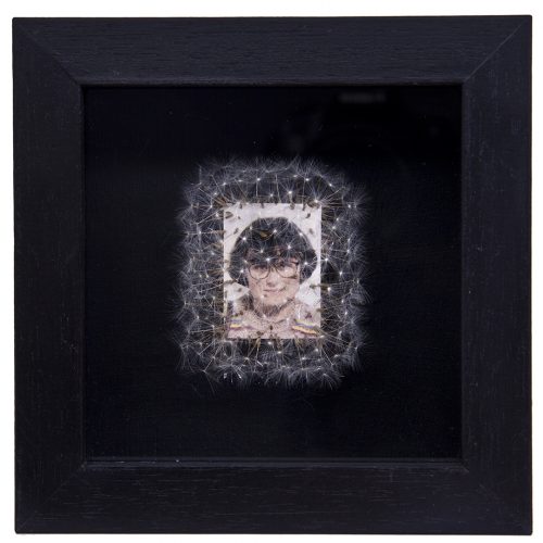 Déjame volar, 05. 
Vitrina de 15 x 15 cm. Semillas de dientes de león y fotografía. 
2013