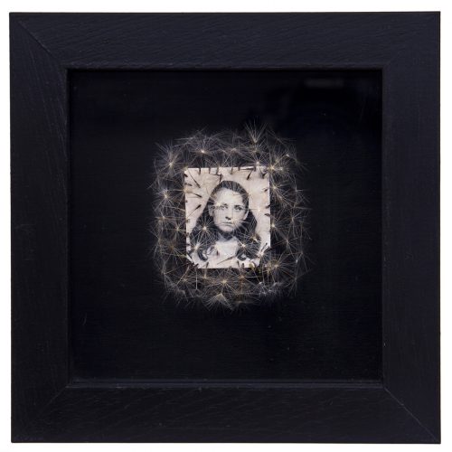 Déjame volar, 06. 
Vitrina de 15 x 15 cm. Semillas de dientes de león y fotografía. 
2013