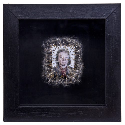 Déjame volar, 07. 
Vitrina de 15 x 15 cm. Semillas de dientes de león y fotografía. 
2013