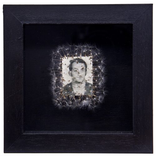 Déjame volar, 10. 
Vitrina de 15 x 15 cm. Semillas de dientes de león y fotografía. 
2013