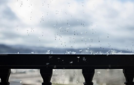 La vida tras la ventana, 01.