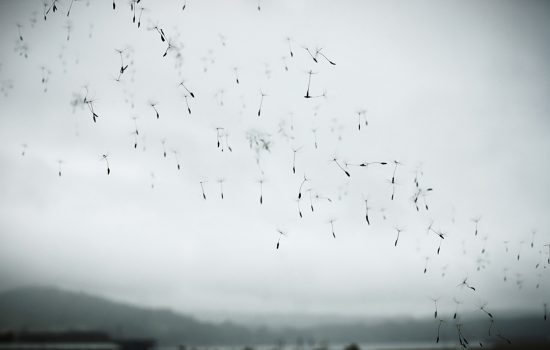 La vida tras la ventana, 02.