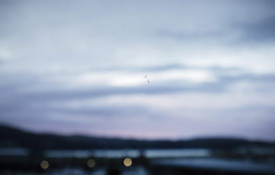 La vida tras la ventana, 04.