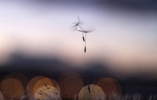 La vida tras la ventana, 05.