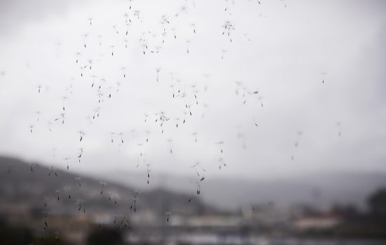 La vida tras la ventana, 07.