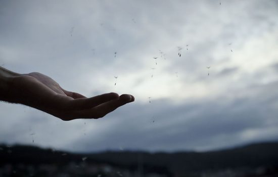 La vida tras la ventana, 10.